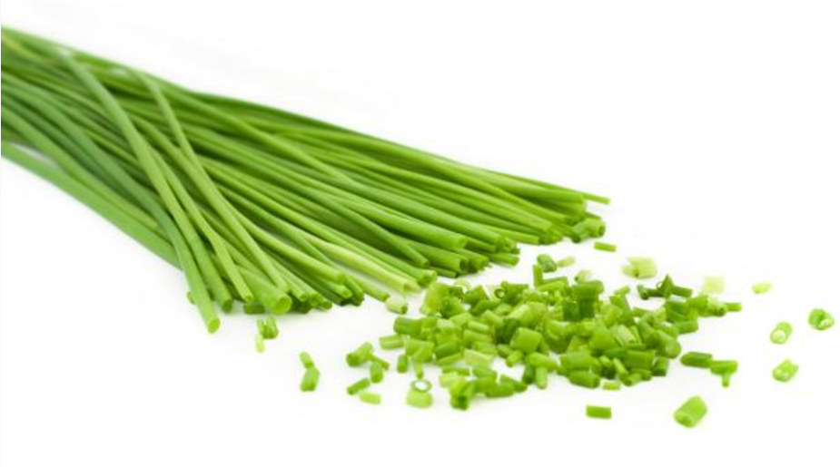 Chive Bundle - $40 (chive, celery, chadon beni, big thyme, small thyme, and bay leaf)