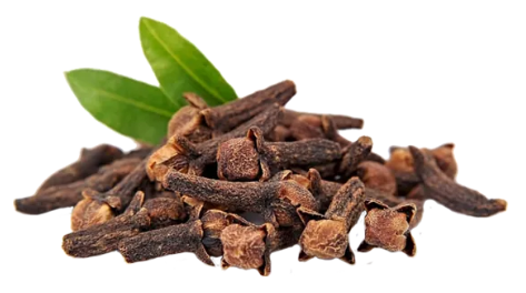 Clove packet (10g)