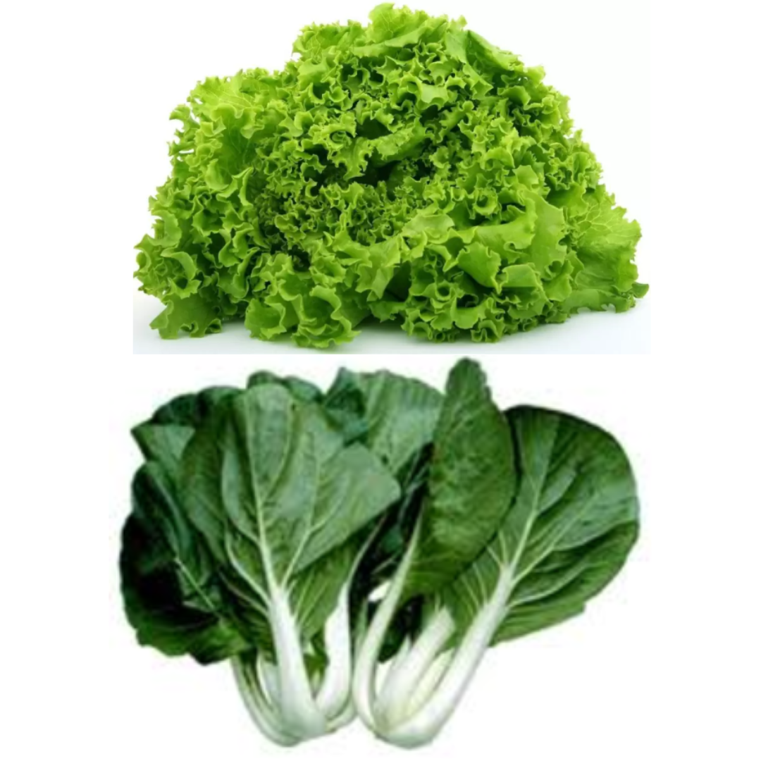 Lettuce & Pak Choi Combo ($20)