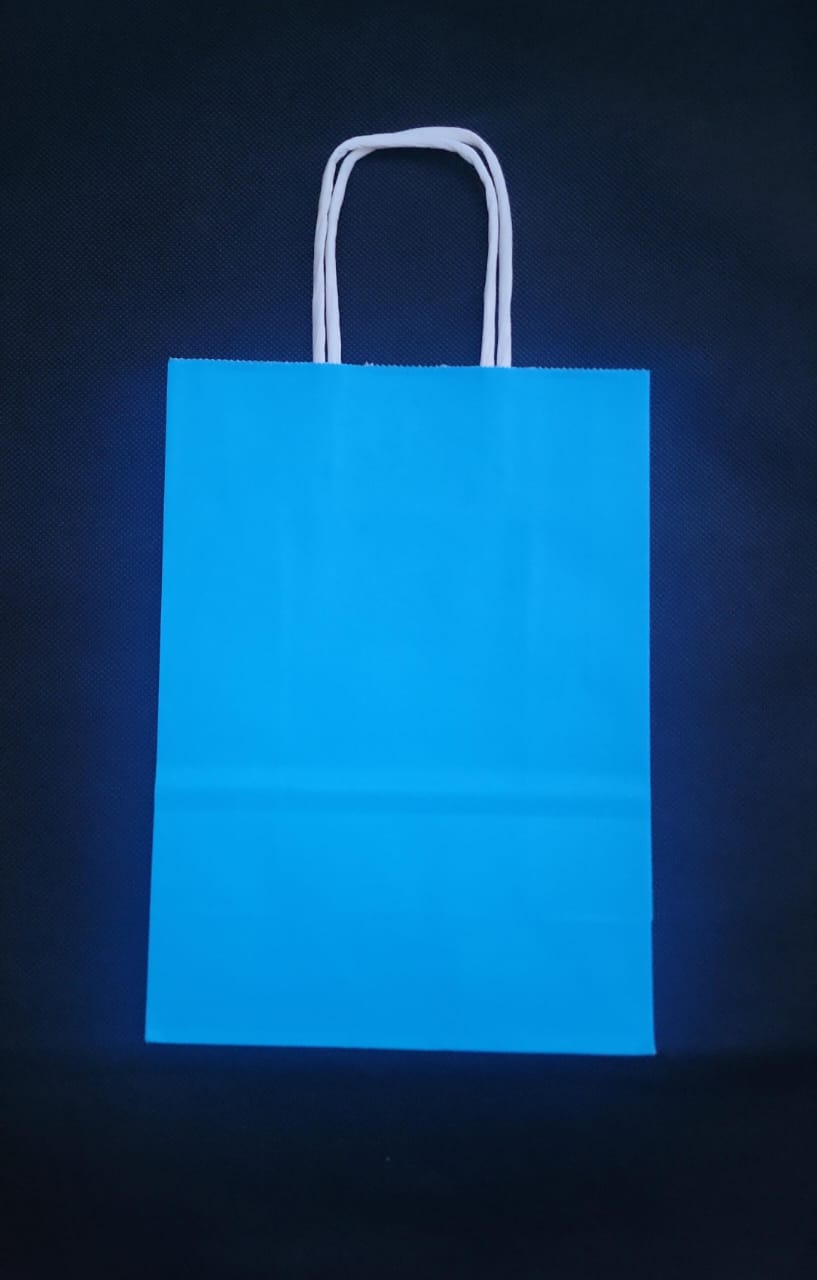 Paper Handle Bags