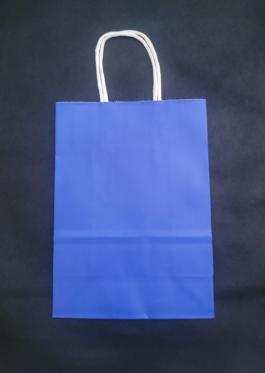 Paper Handle Bags